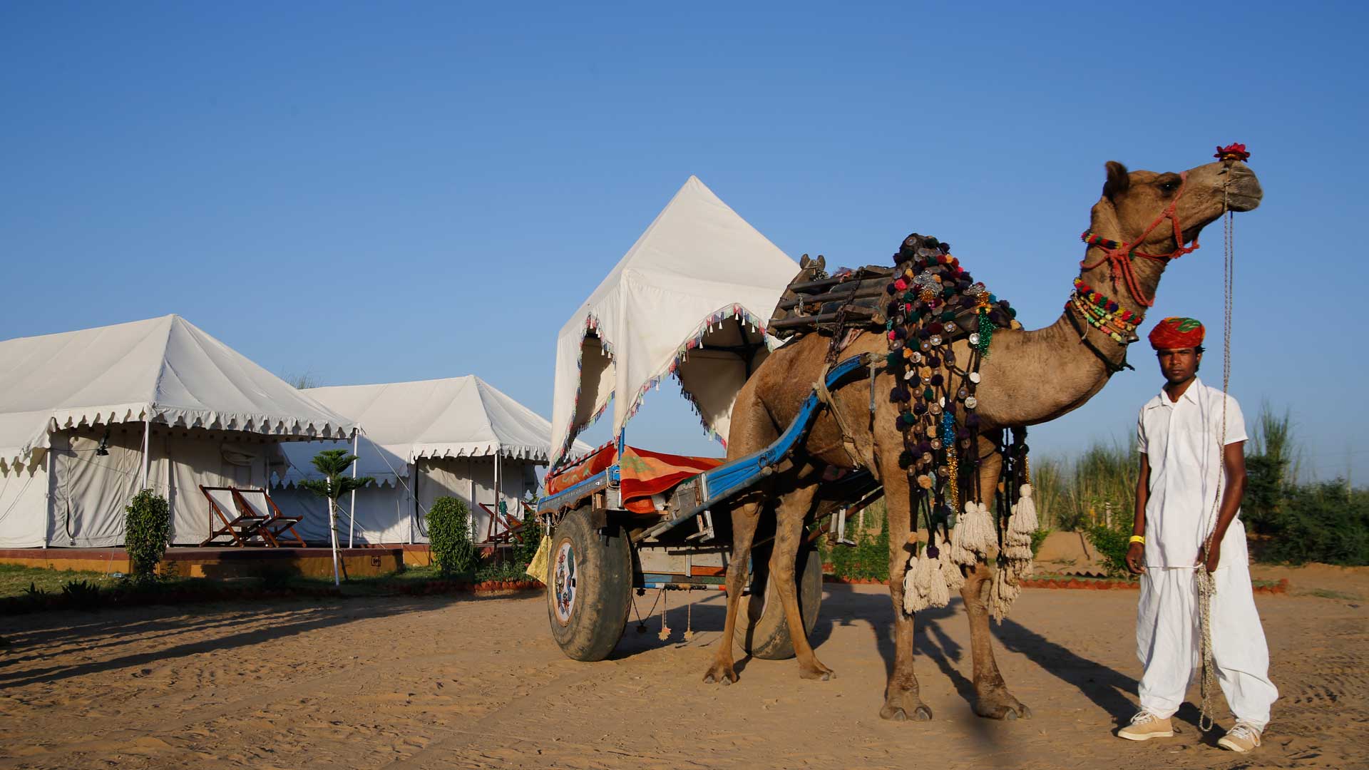Pushkar Desert Safari Wide Landscape View